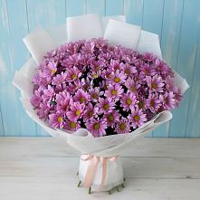 Букет цветов из:  Хризантемы в Духовщине