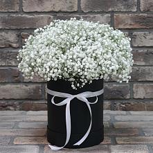 Цветочная композиция из Гипсофила в шляпной коробке в Духовщине