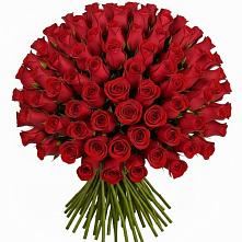 Букет Красные розы Чери Лав в Духовщине