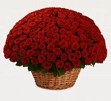 Премиум букет из: Розы в Духовщине