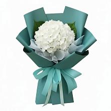 Букет цветов из:  Гортензия в Духовщине